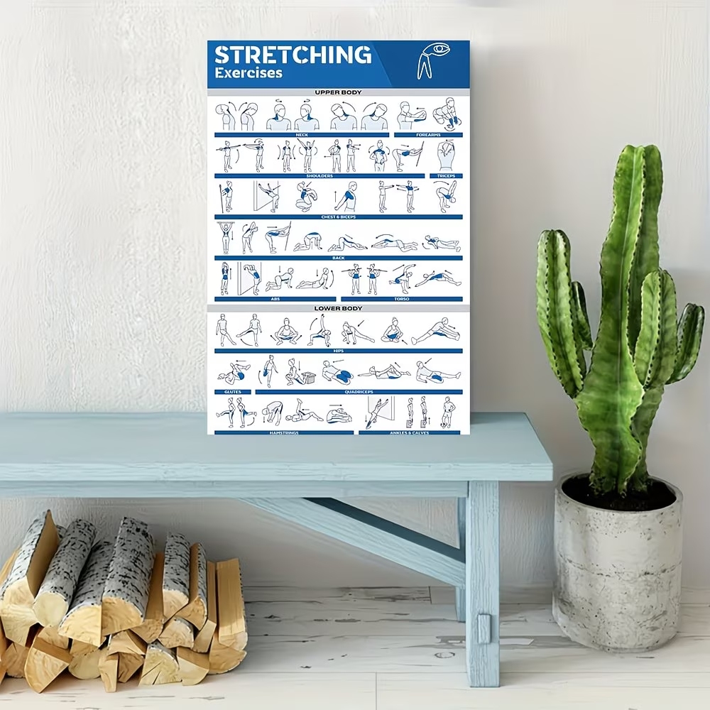 Modern Labeled Full-Body Stret - огляд і ціна Label Maker